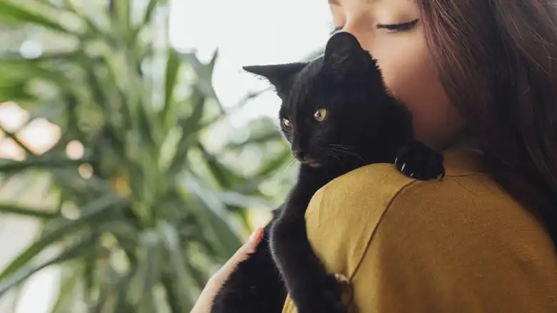 These Black Cat Names Are Unique And Creative, Perfect For Pretty Kitties